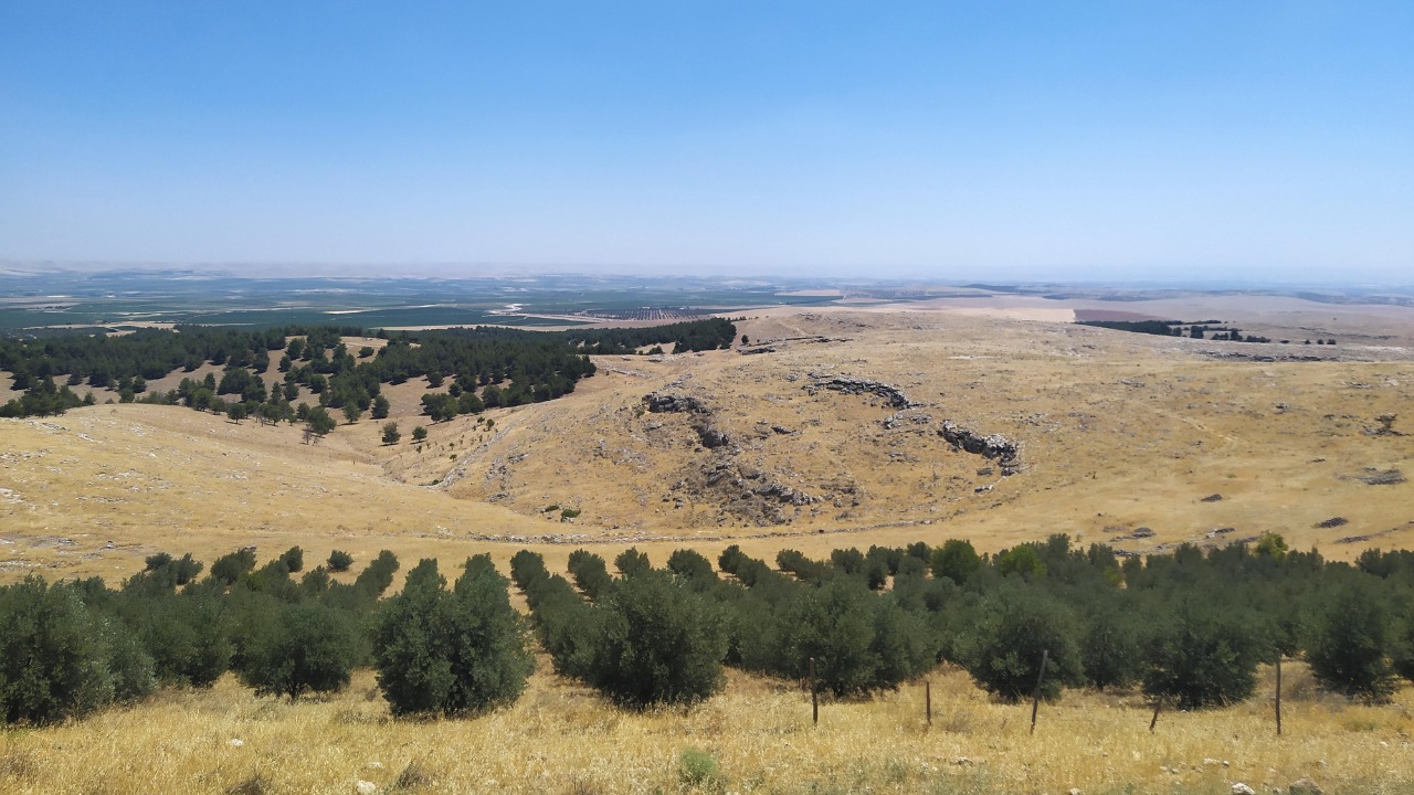 Image Credit: Radosław Botev - CC BY 3.0 pl/Wiki Commons