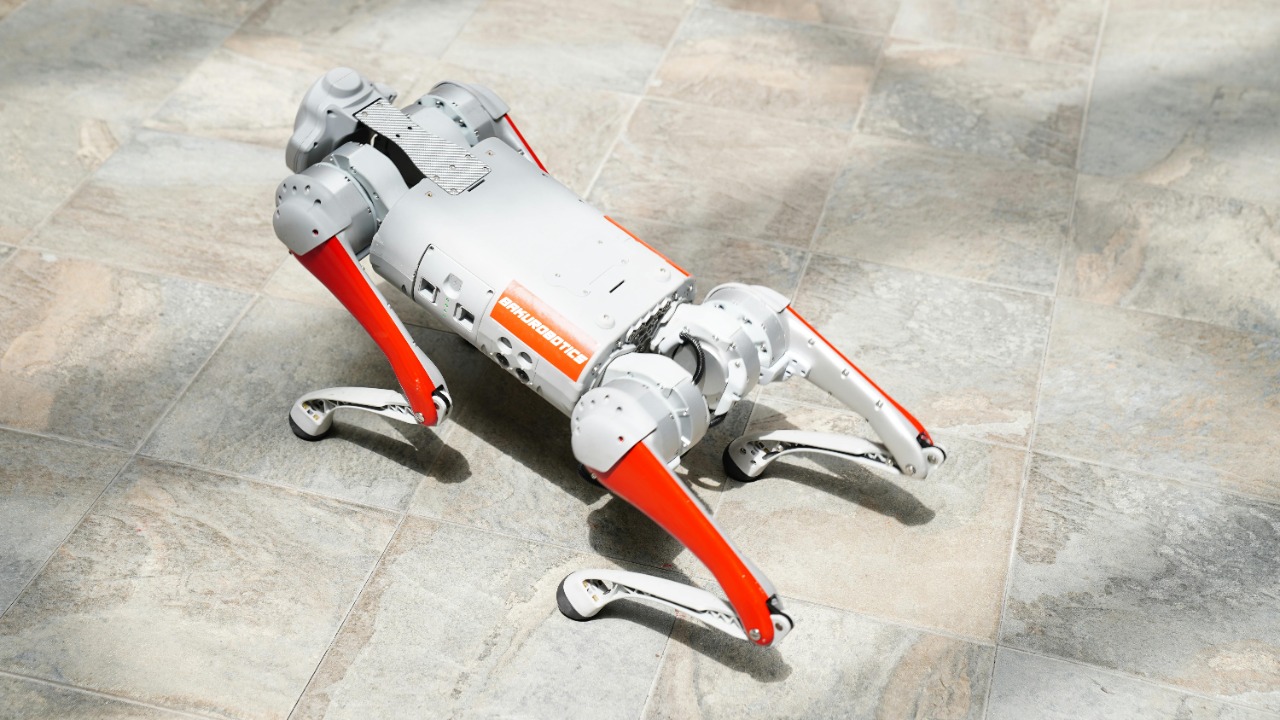 Tahir Xəlfə/Pexels