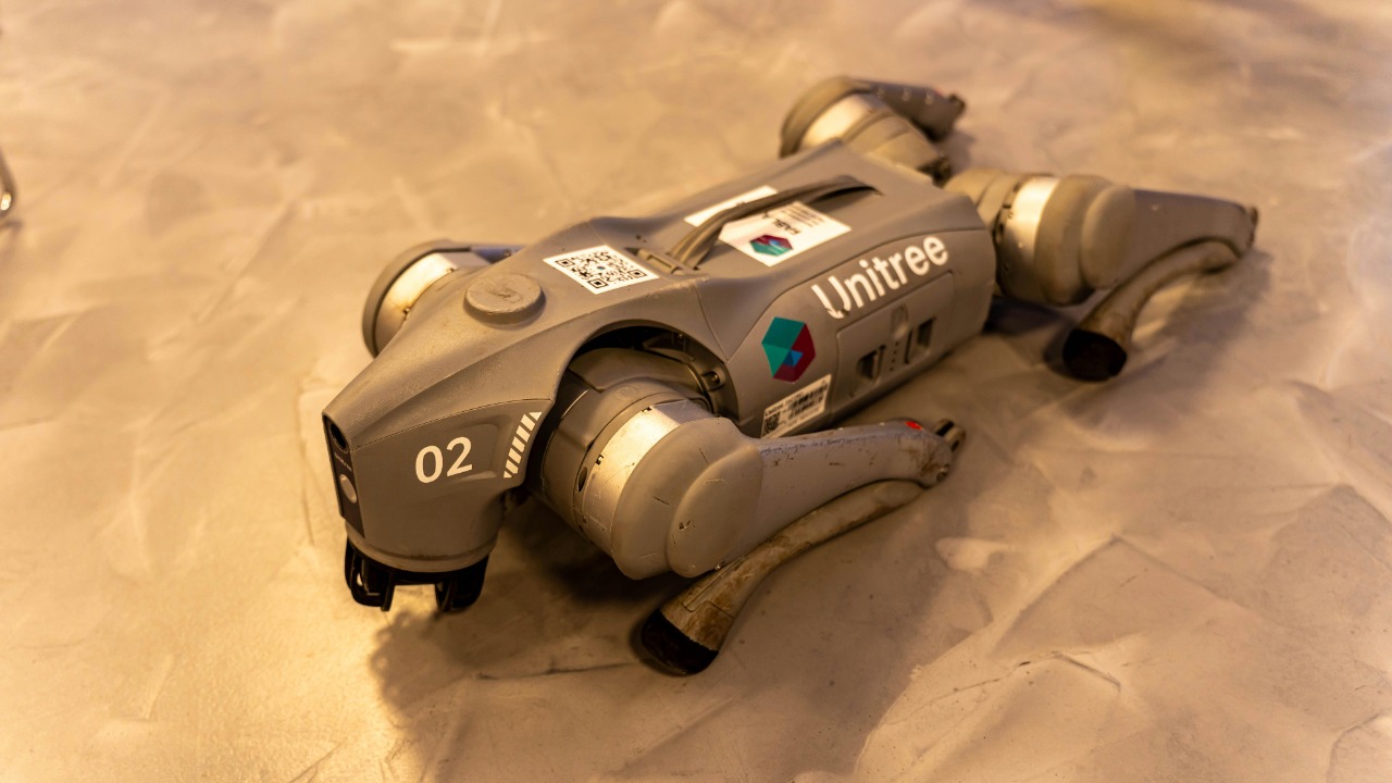 Vladimir Srajber/Pexels