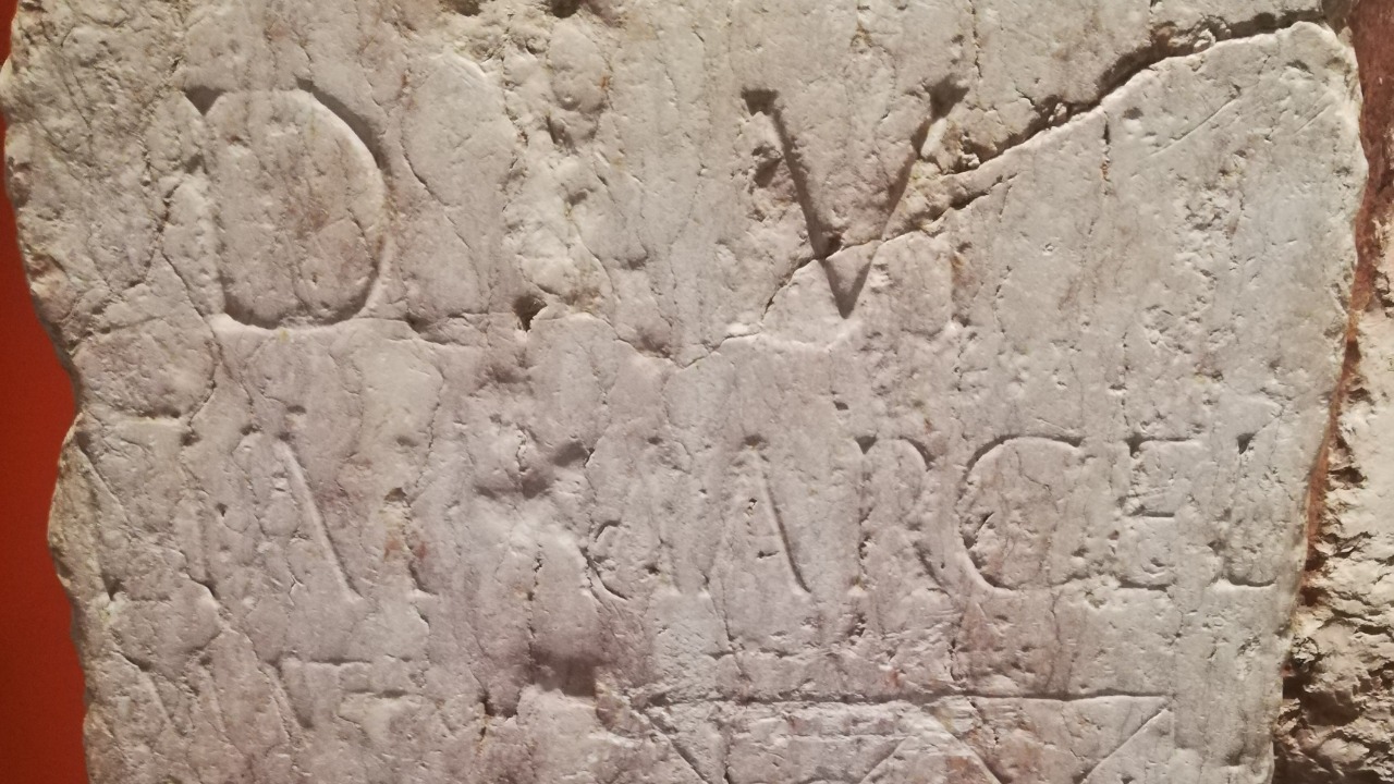 Image Credit: Sheila1988 - CC BY-SA 4.0/Wiki Commons