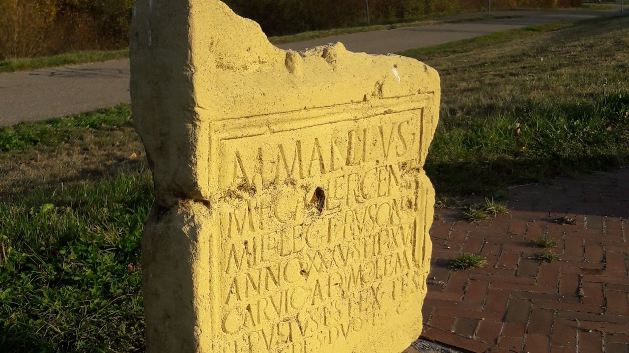 Image Credit: Wouter Hinrichs - CC BY 4.0/Wiki Commons