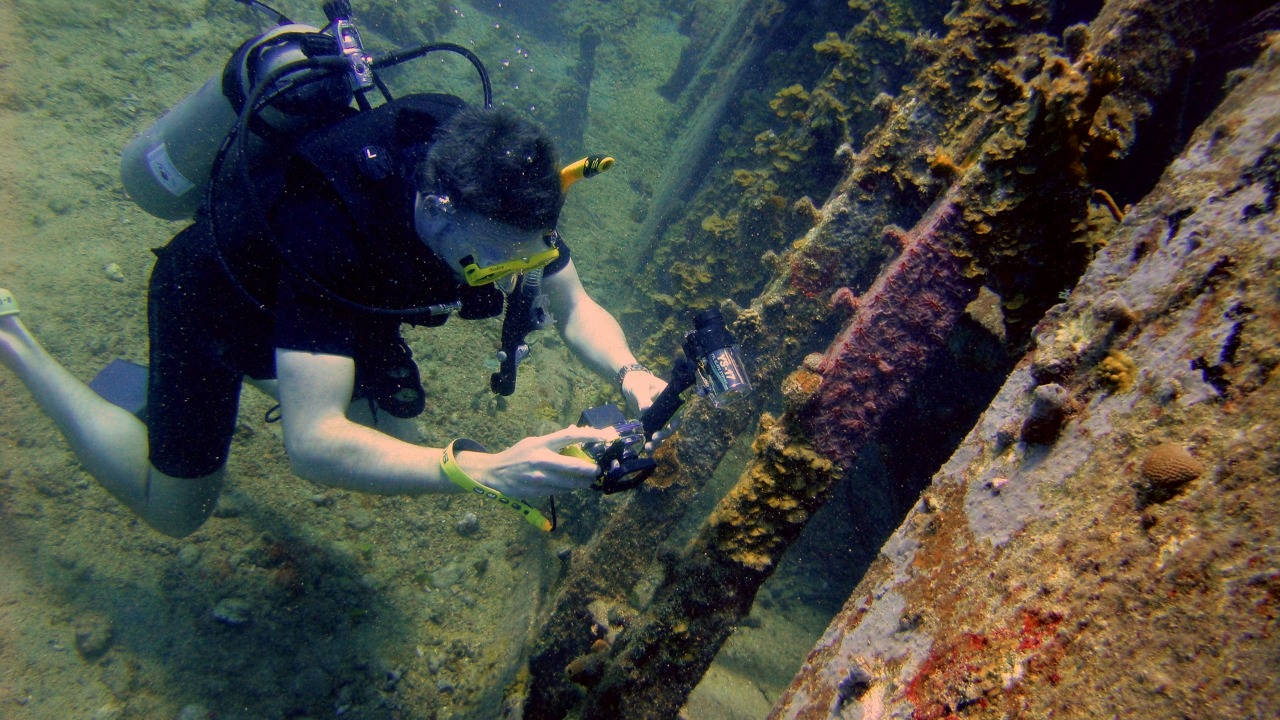 climatechangevi/Unsplash