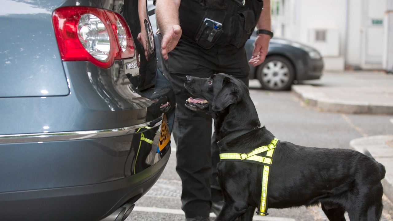 Image Credit: Harland Quarrington - OGL v1.0/Wiki Commons