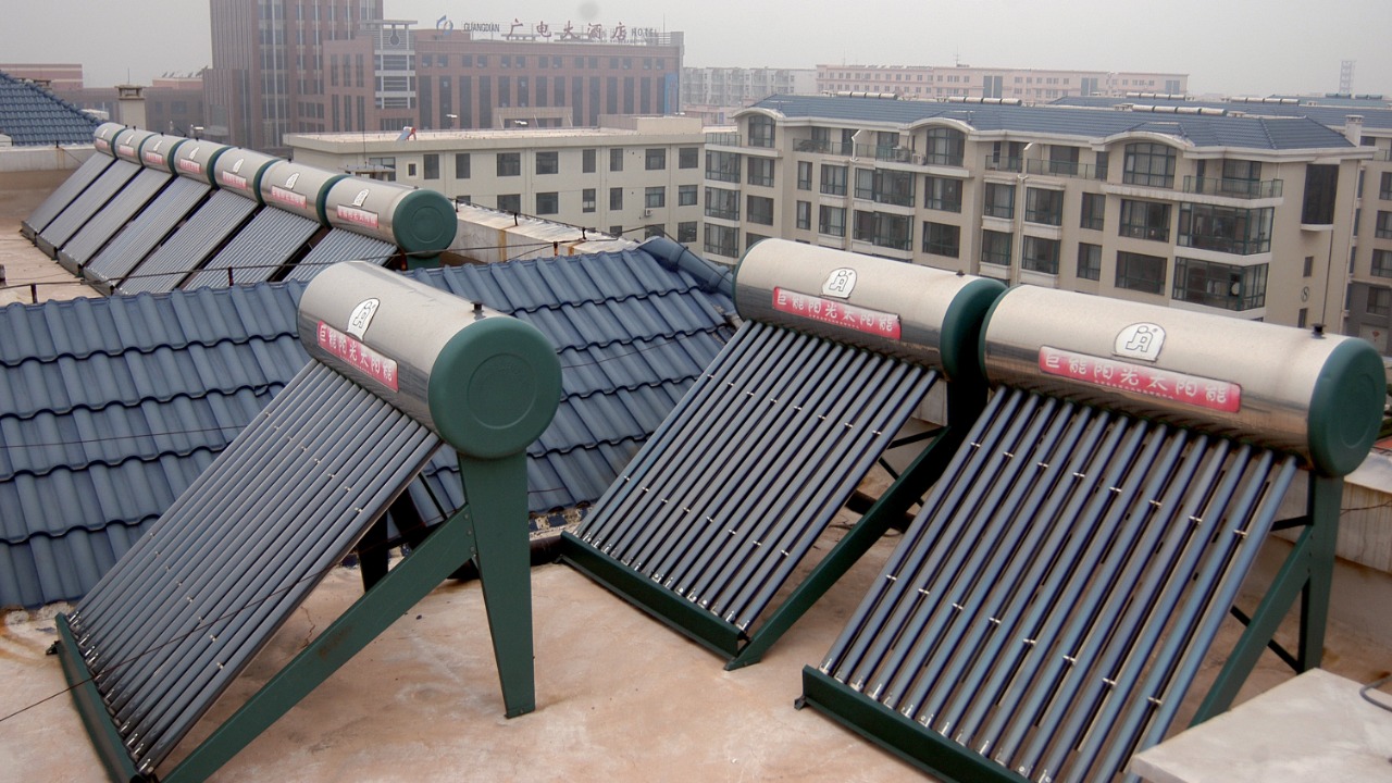 Image Credit: division, CSIRO - CC BY 3.0/Wiki Commons