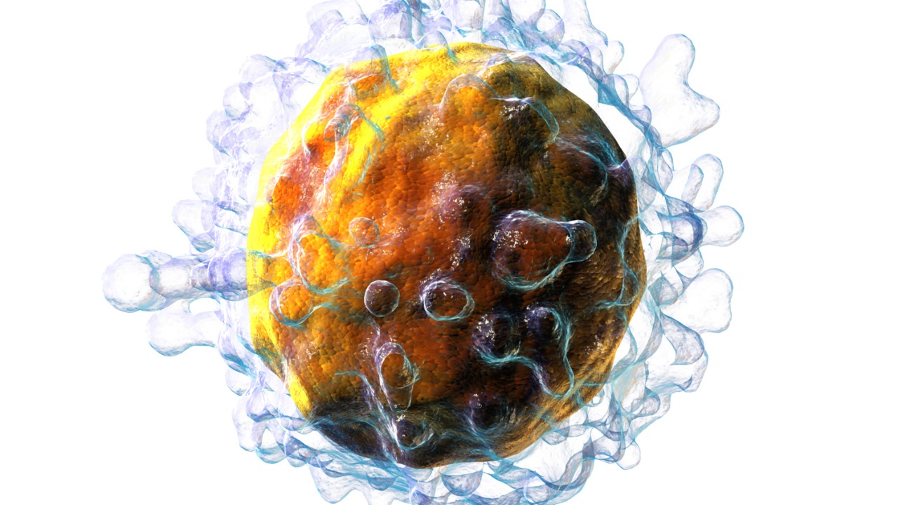 Image Credit: BruceBlaus. When using this image in external sources it can be cited as:
Blausen.com staff (2014). 