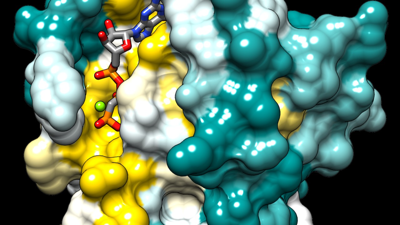 Image Credit: ElaineMeng - CC BY-SA 3.0/Wiki Commons