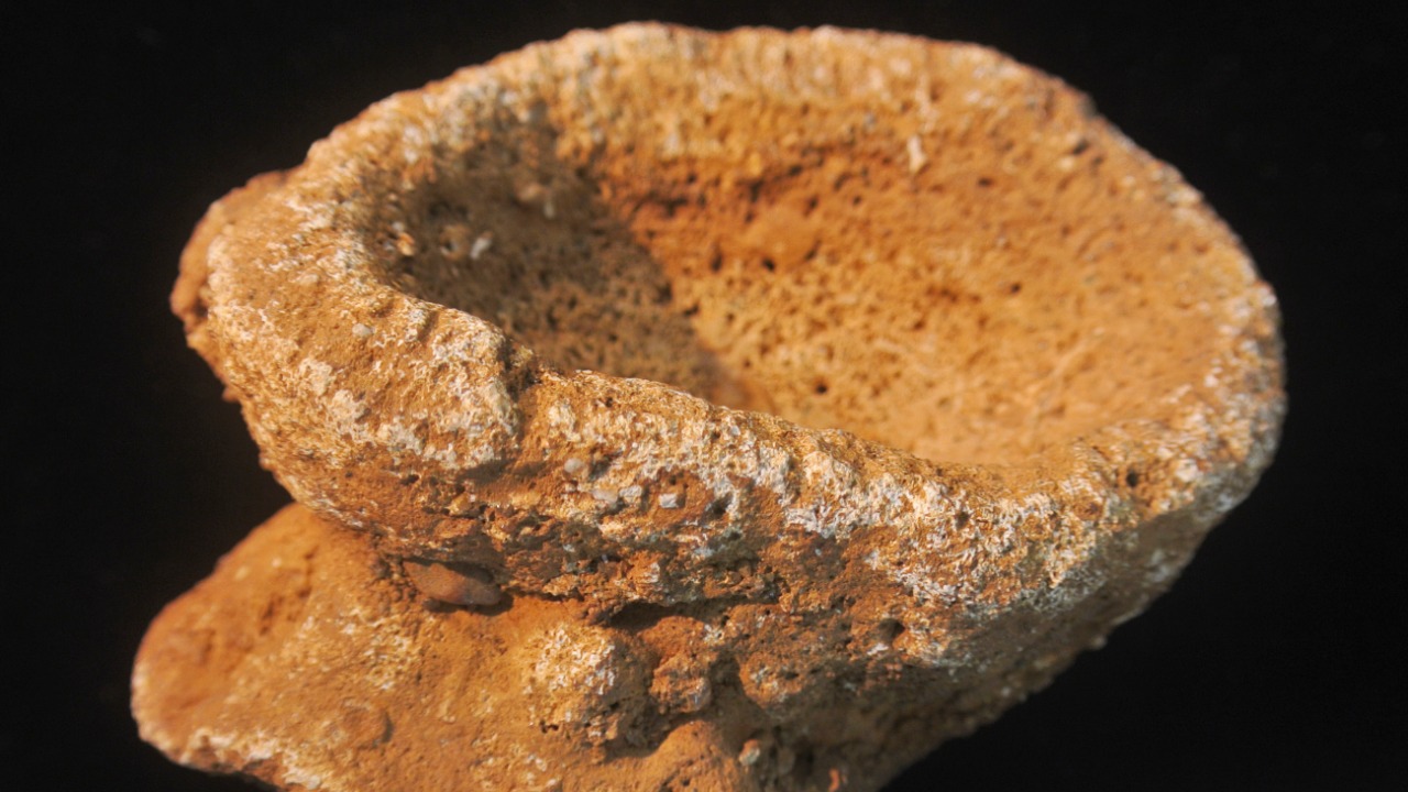 Image Credit: Wilson44691 - CC0/Wiki Commons