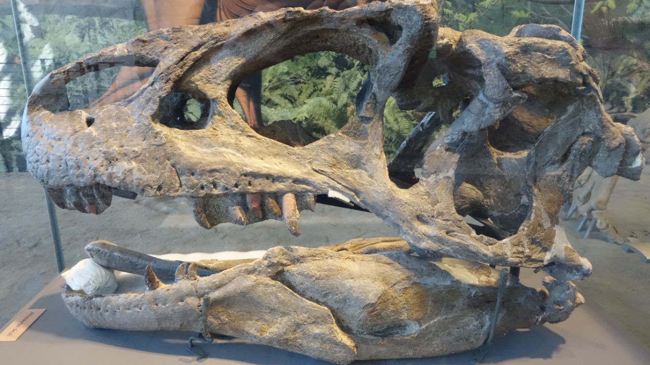 Image Credit: Jens Lallensack - CC BY-SA 4.0/Wiki Commons