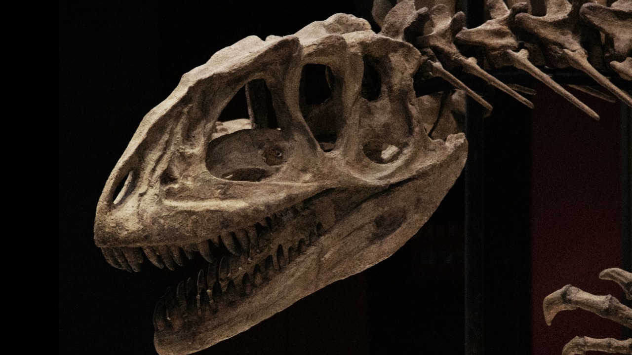 wangzuokang/Unsplash