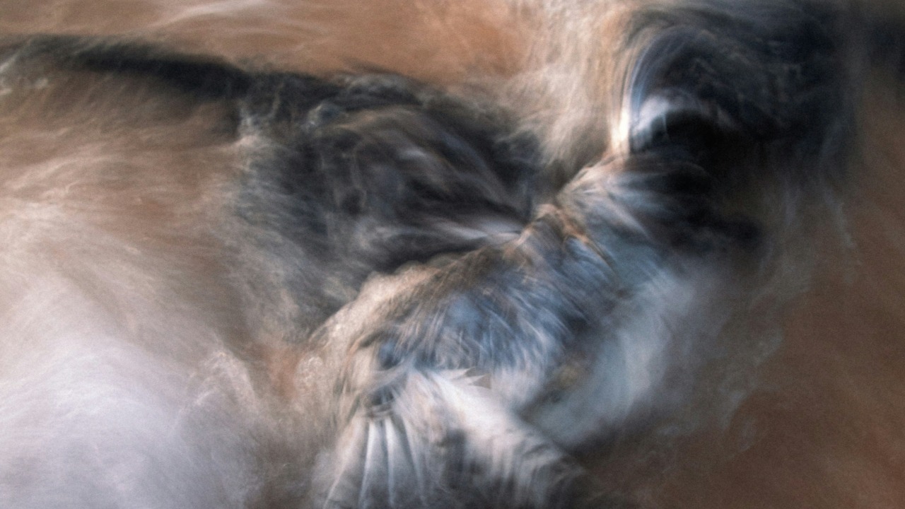 miloweiler/Unsplash