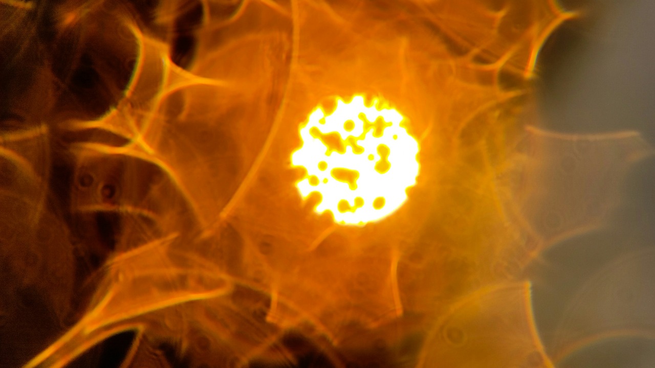 macrosam/Unsplash