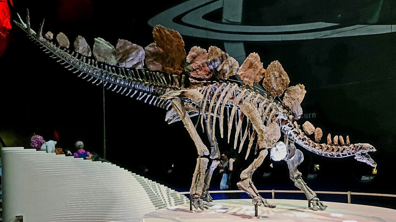 Stegosaurus — Image Credit: Ricardalovesmonuments - CC BY-SA 4.0/Wiki Commons