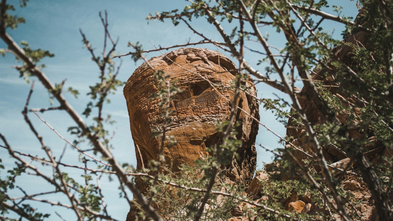 brice_cooper18/Unsplash