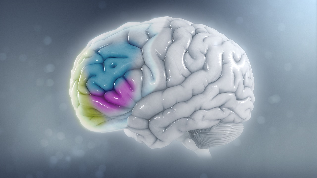 Image Credit: https://www.scientificanimations.com/ - CC BY-SA 4.0/Wiki Commons