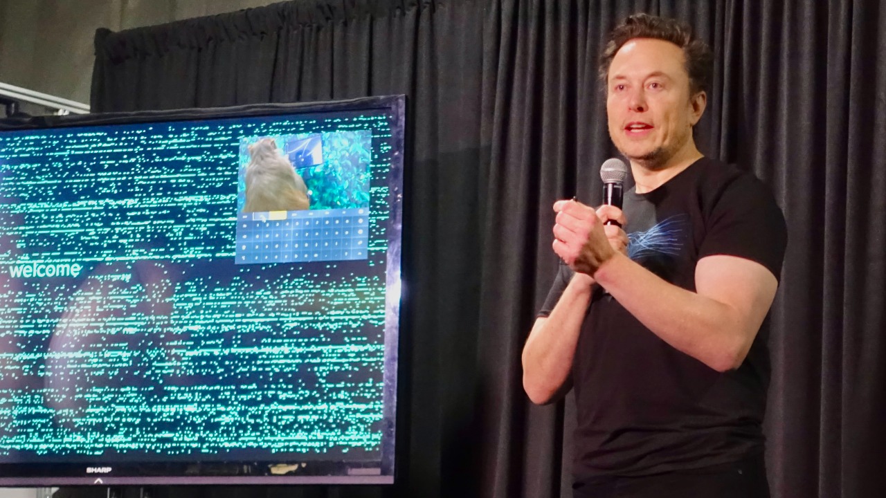 Image Credit: Steve Jurvetson from Los Altos, USA - CC BY 2.0/Wiki Commons