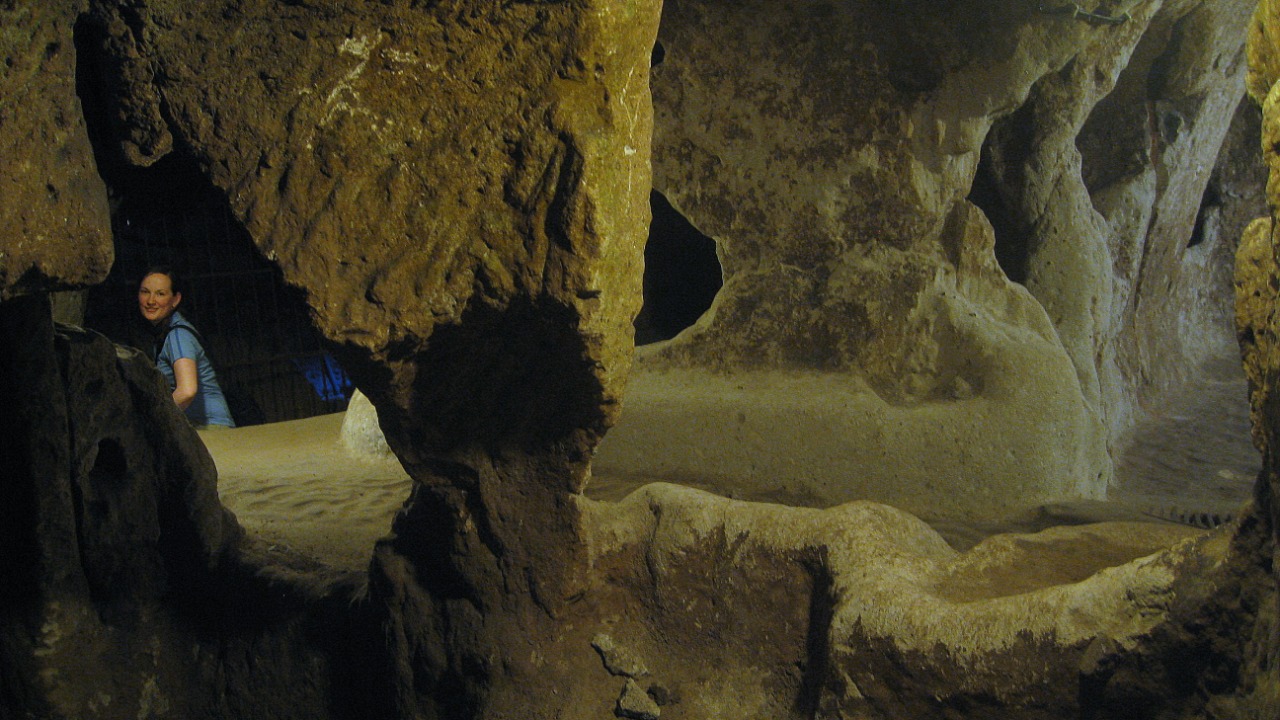 Image Credit: Patrick Barry from san francisco, ca, usa - CC BY-SA 2.0/Wiki Commons