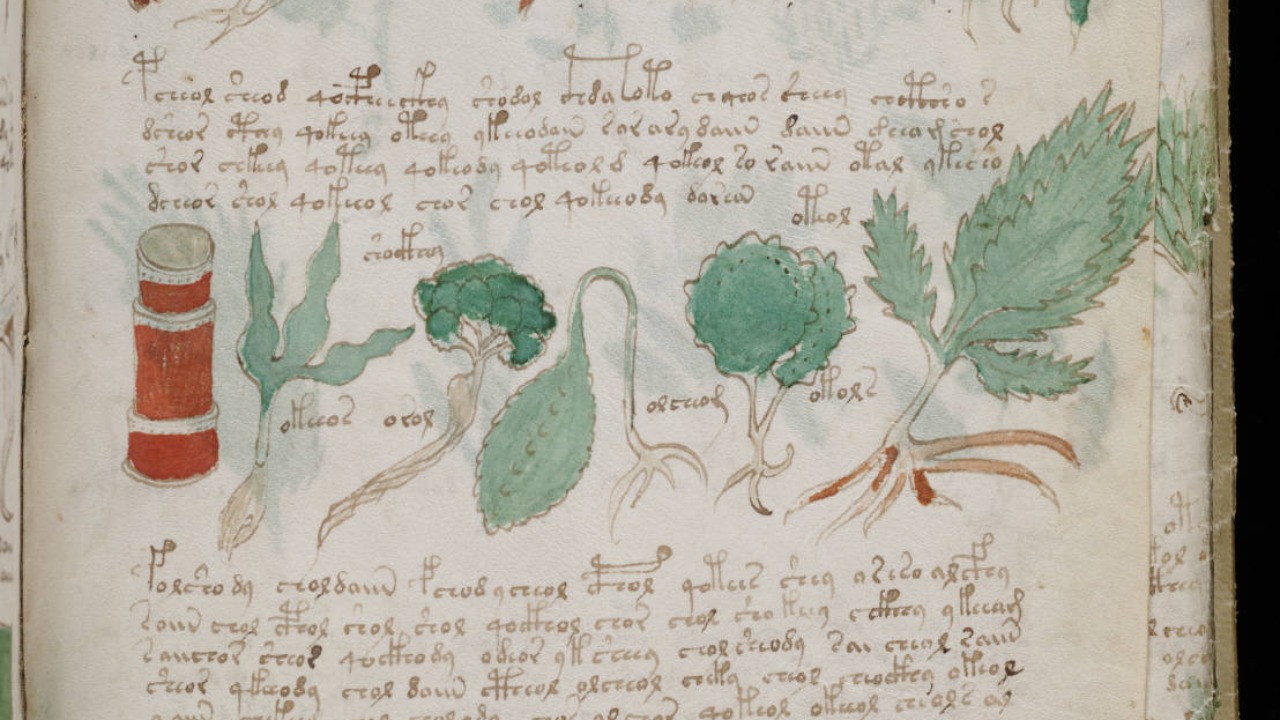 Image Credit: Unknown authorUnknown author - Public domain/Wiki Commons