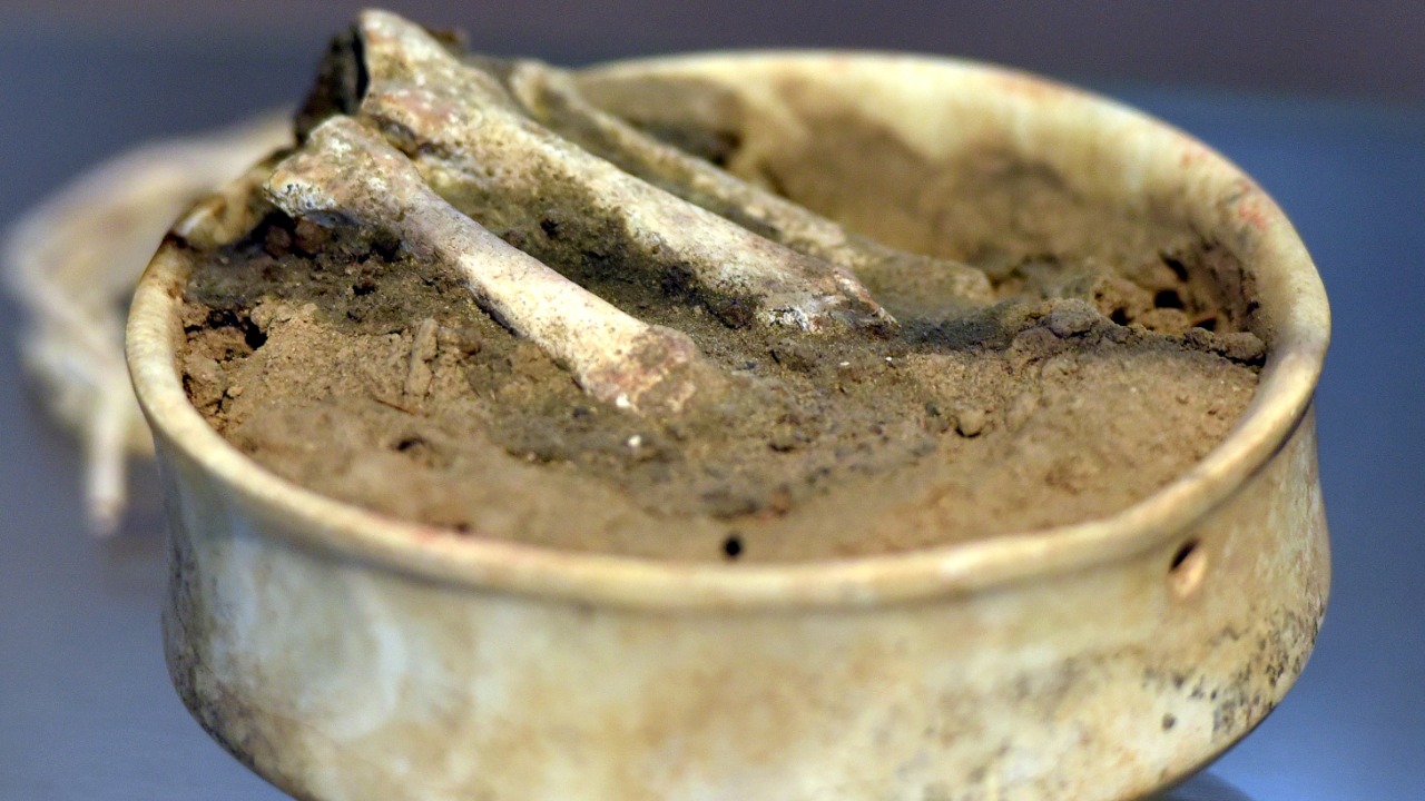 Image Credit: Osama Shukir Muhammed Amin FRCP(Glasg) - CC BY-SA 4.0/Wiki Commons