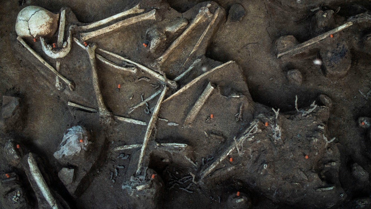 oliverjoshua/Unsplash