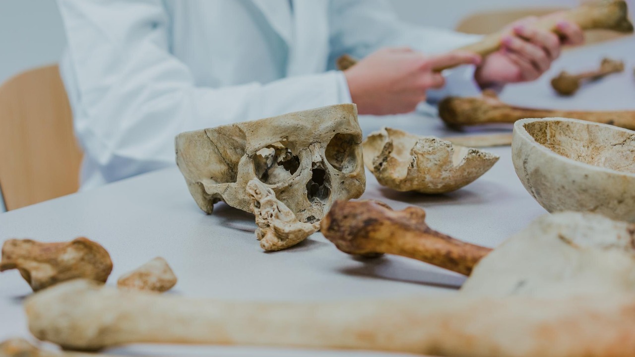 One group outside Africa had virtually no Denisovan DNA