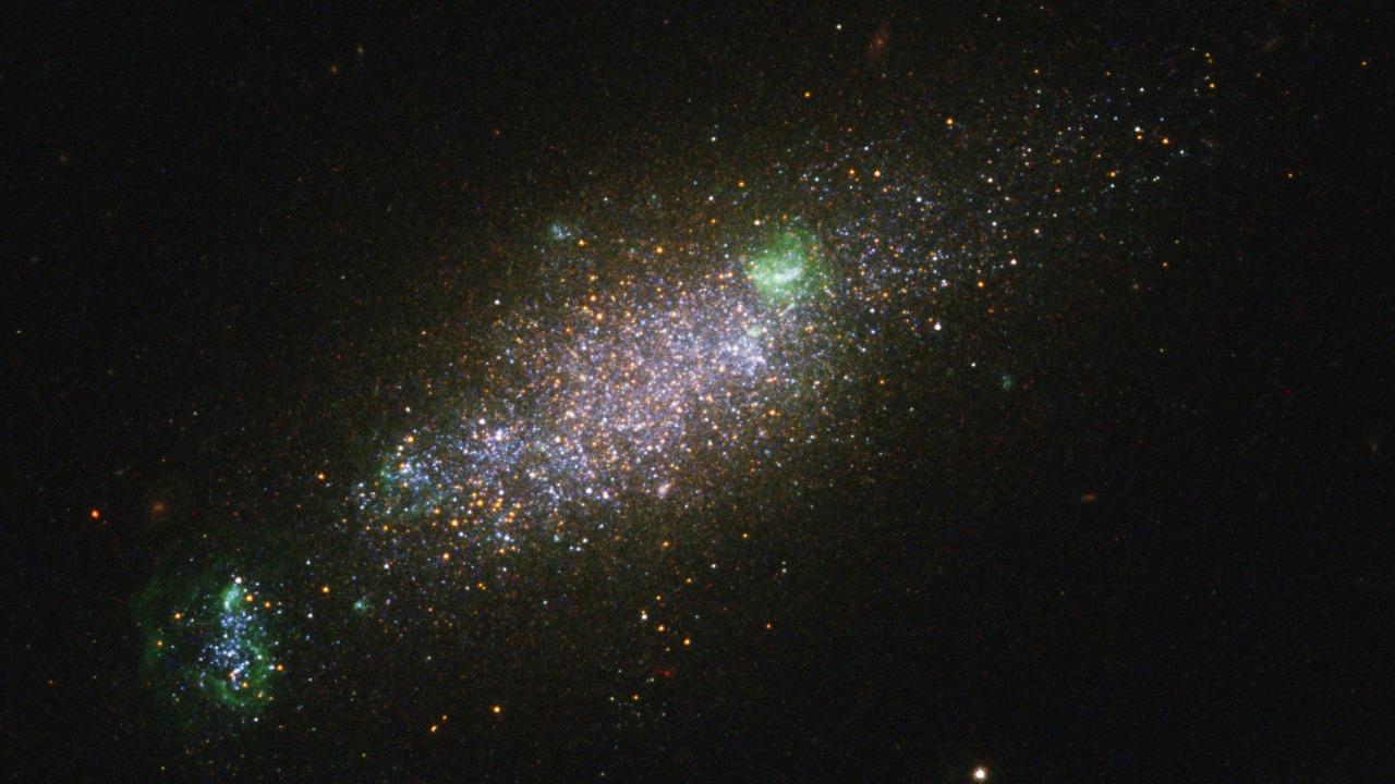 Image Credit: geckzilla - CC BY 2.0/Wiki Commons