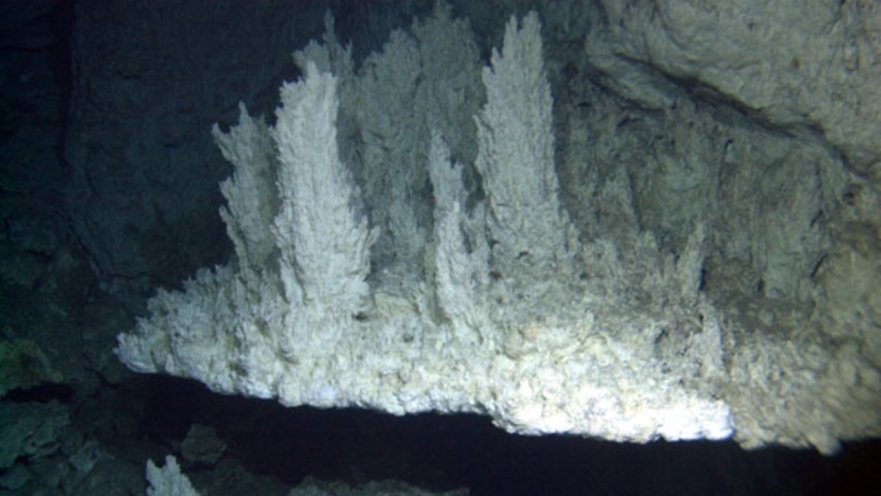 Image Credit: National Science Foundation (University of Washington/Woods Hole Oceanographic Institution) – Public domain/Wiki Commons