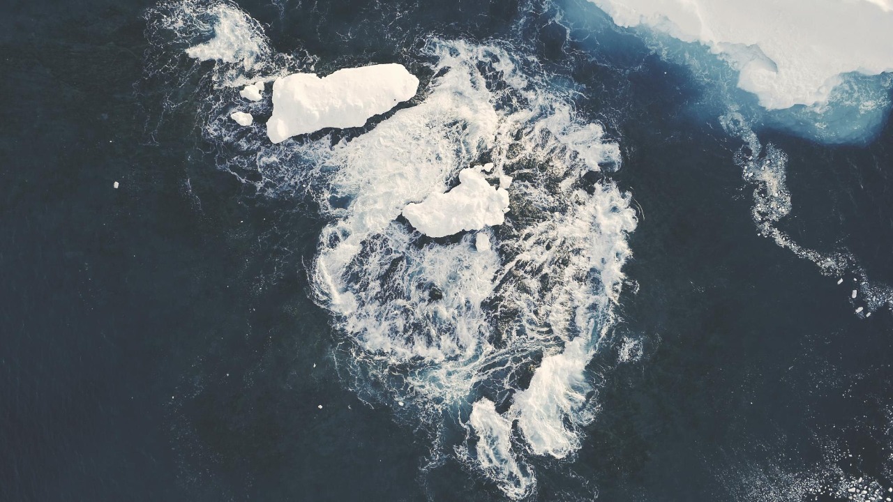 Image by Freepik