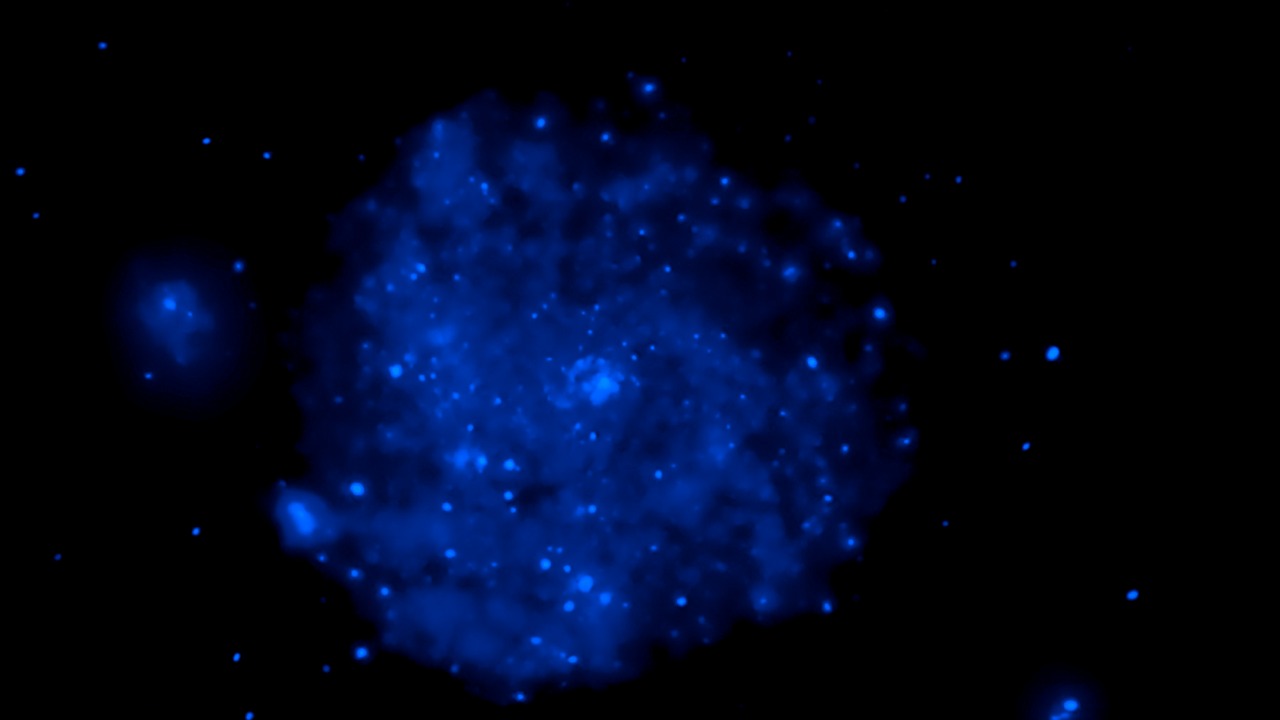 Image Credit: NASA, CXC, and K. Kuntz (JHU) - Public domain/Wiki Commons
