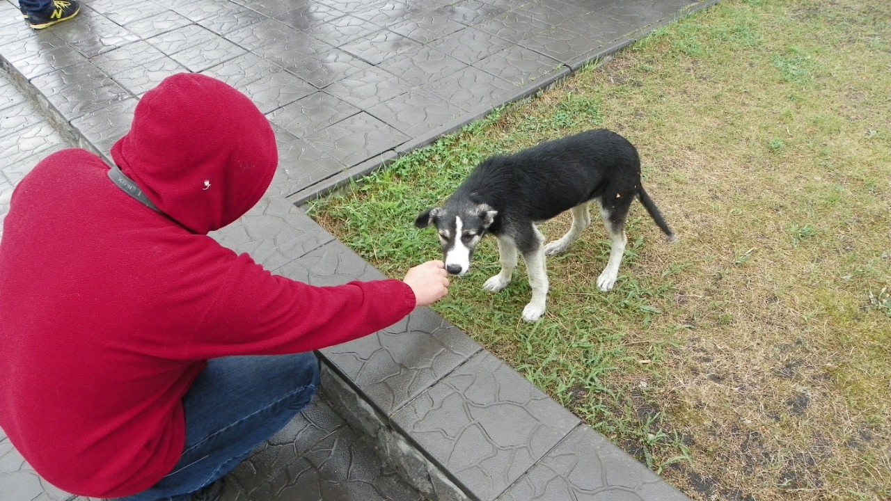 Image Credit: Firef7y - CC BY-SA 3.0/Wiki Commons