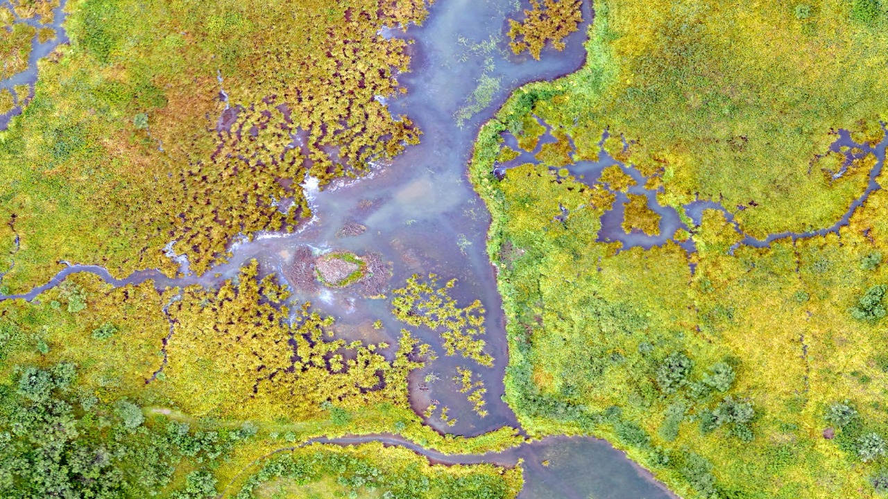 usgs/Unsplash