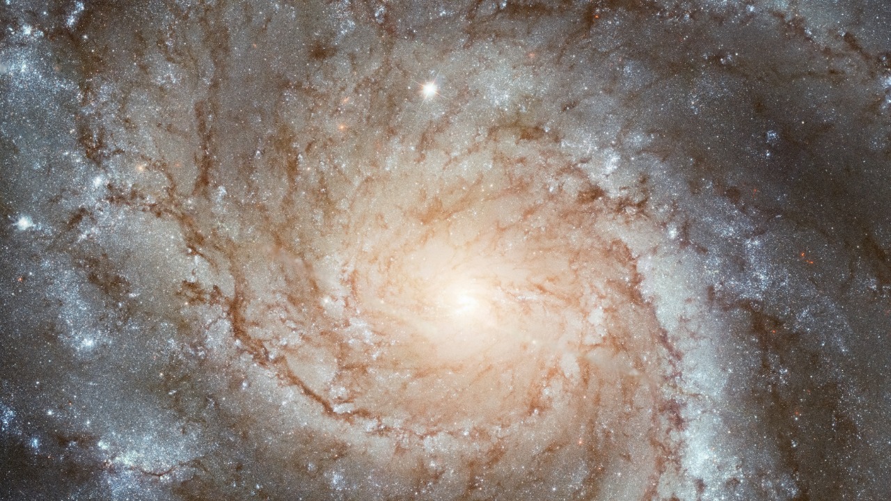 hubblespacetelescope/Unsplash