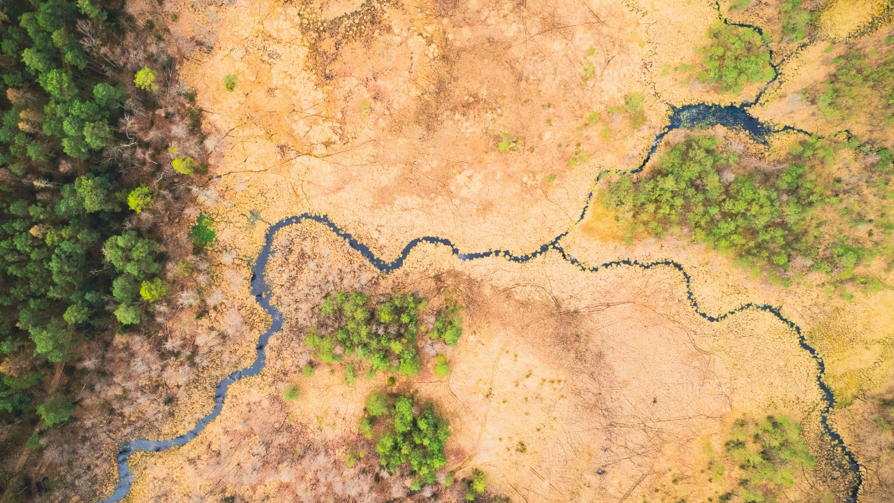 damiankarpinski_photo/Unsplash