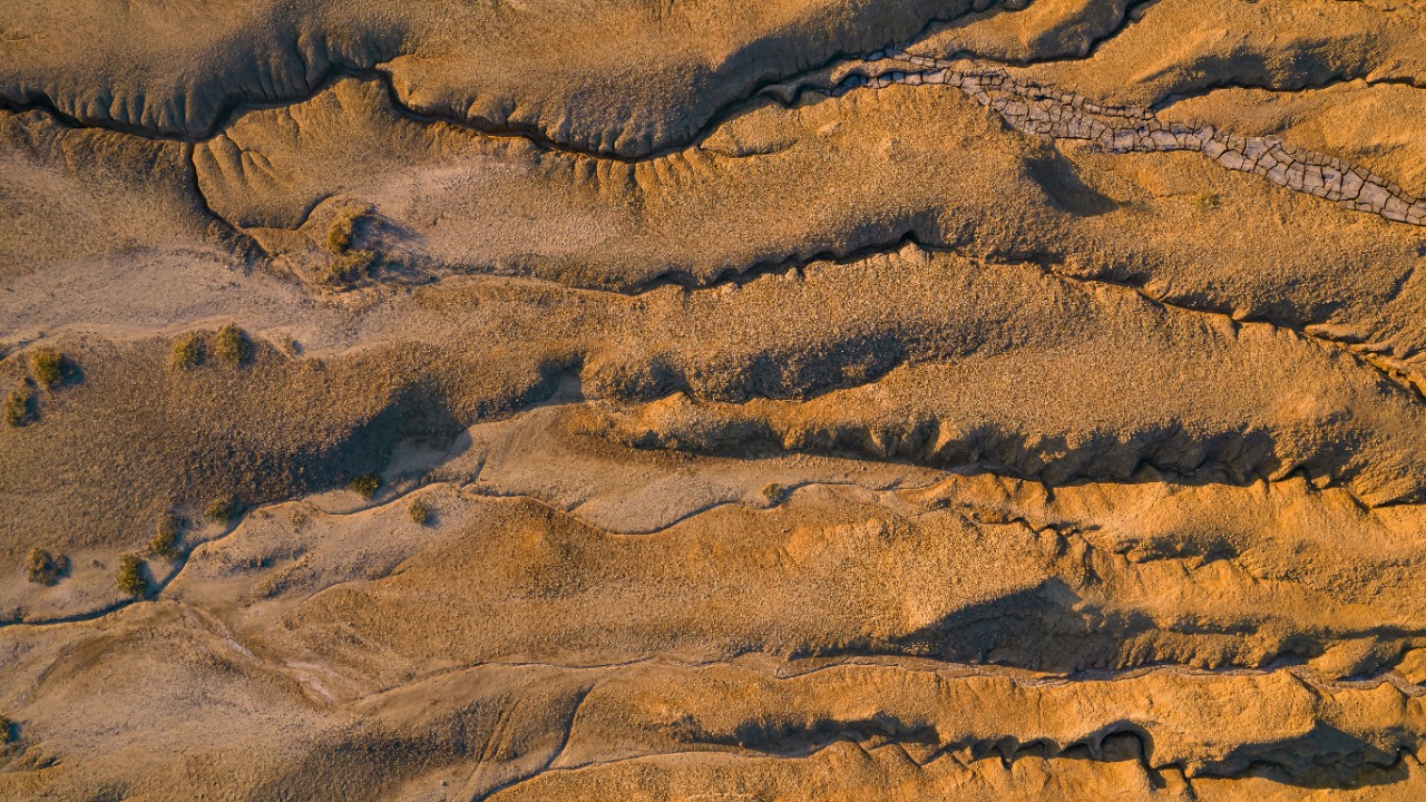 mihai_respira/Unsplash