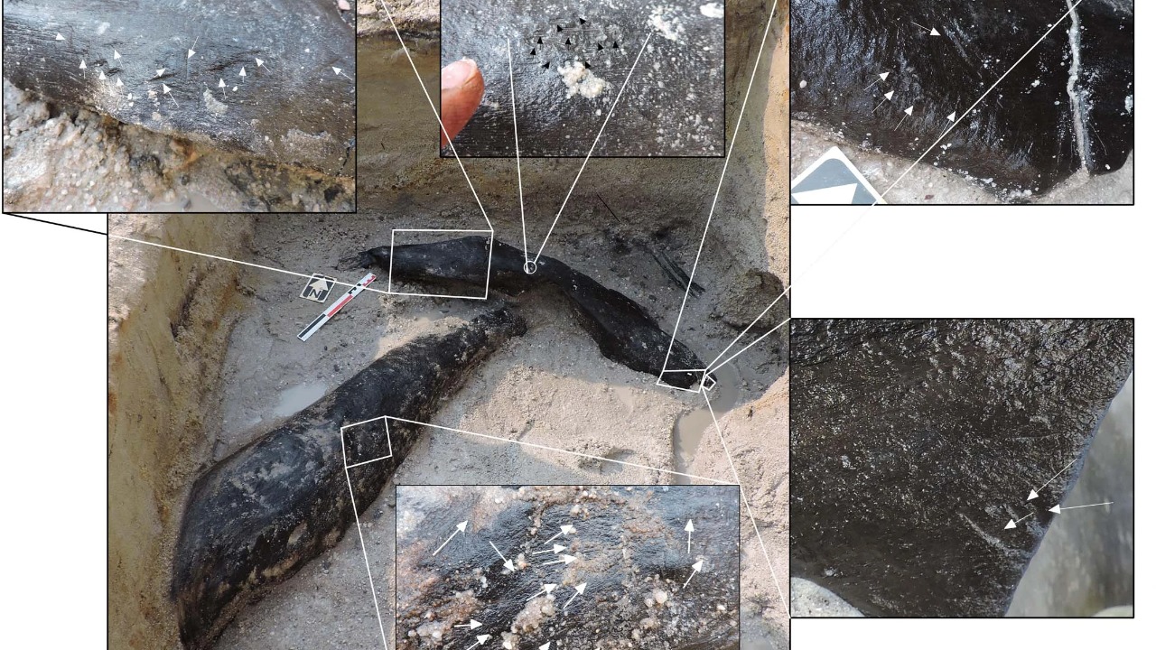 Image Credit: L. Barham, G. A. T. Duller, I. Candy, C. Scott, C. R. Cartwright, J. R. Peterson, C. Kabukcu, M. S. Chapot, F. Melia, V. Rots, N. George, N. Taipale, P. Gethin & P. Nkombwe - CC BY 4.0/Wiki Commons