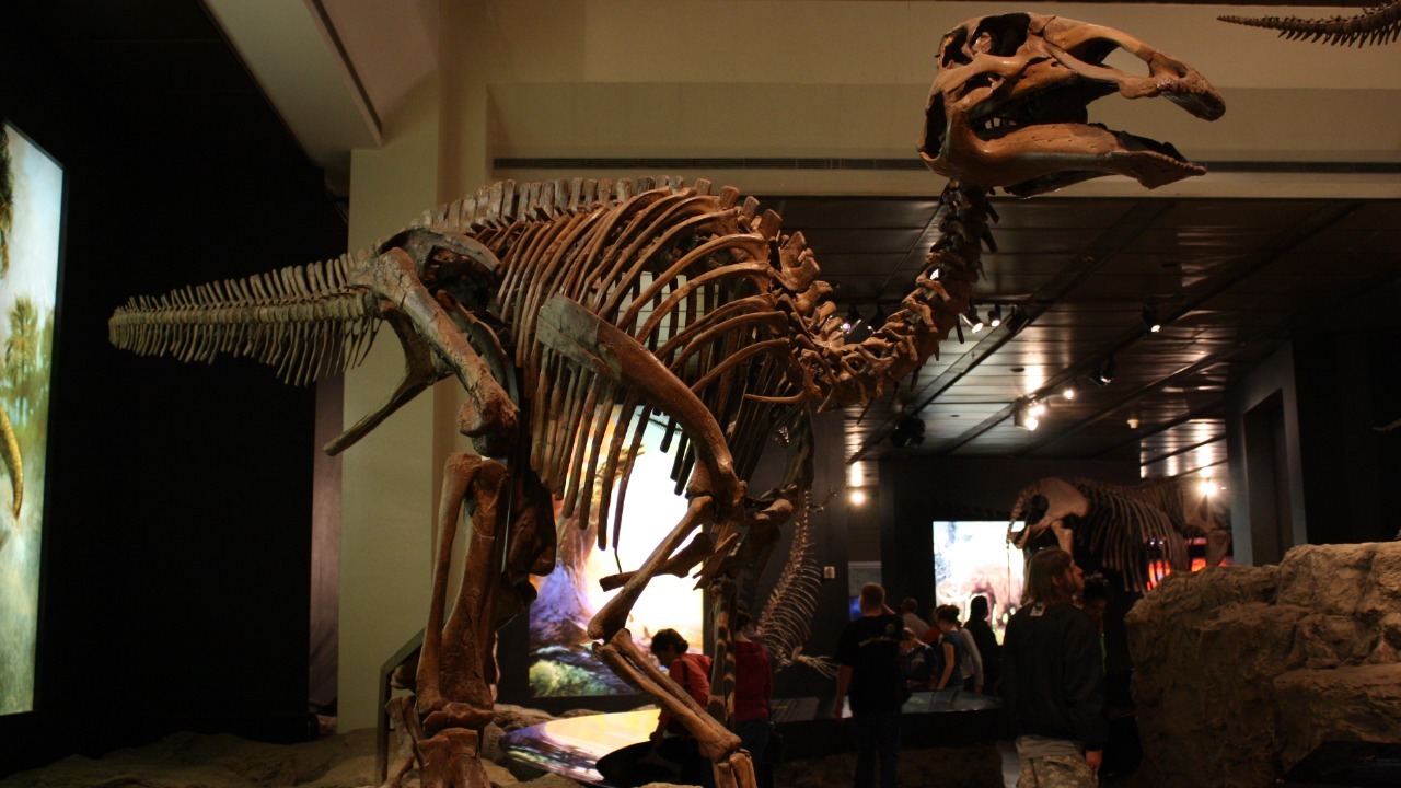 Image Credit: Wikipedia Loves Art participant “The_Wookies” – CC BY 2.5/Wiki Commons