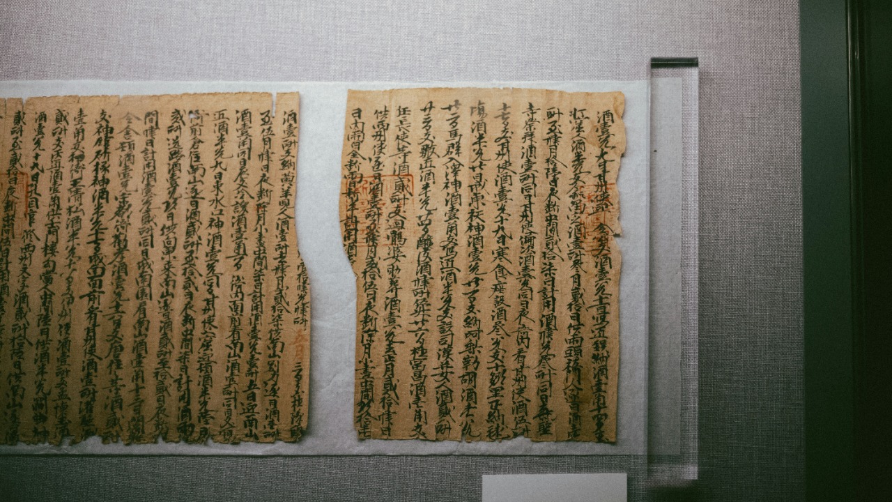 tommaomaoer/Unsplash