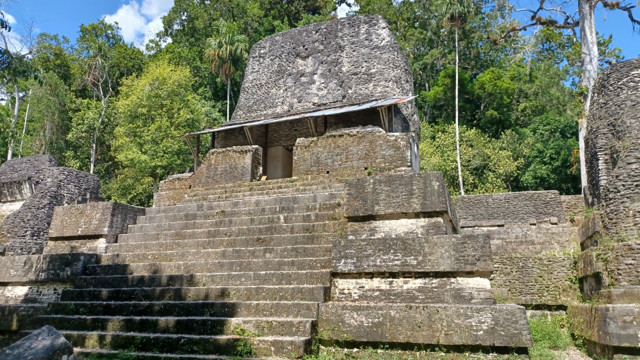 Image Credit: Simon Burchell - CC BY-SA 4.0/Wiki Commons