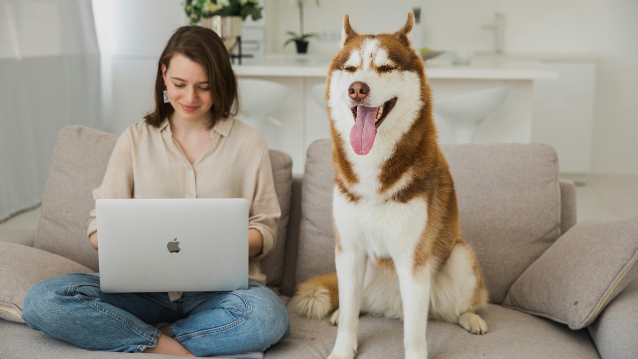 AI now replacing real animal actors in Hollywood