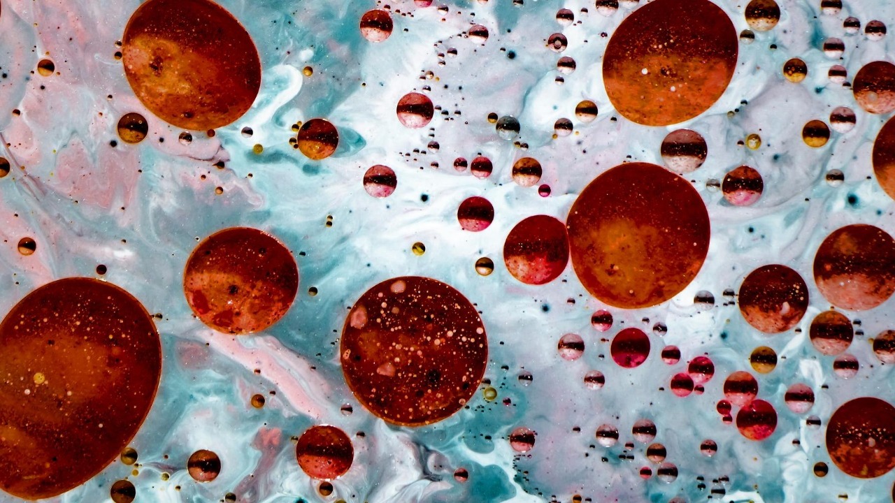 Blood cell differences may have doomed Neanderthals