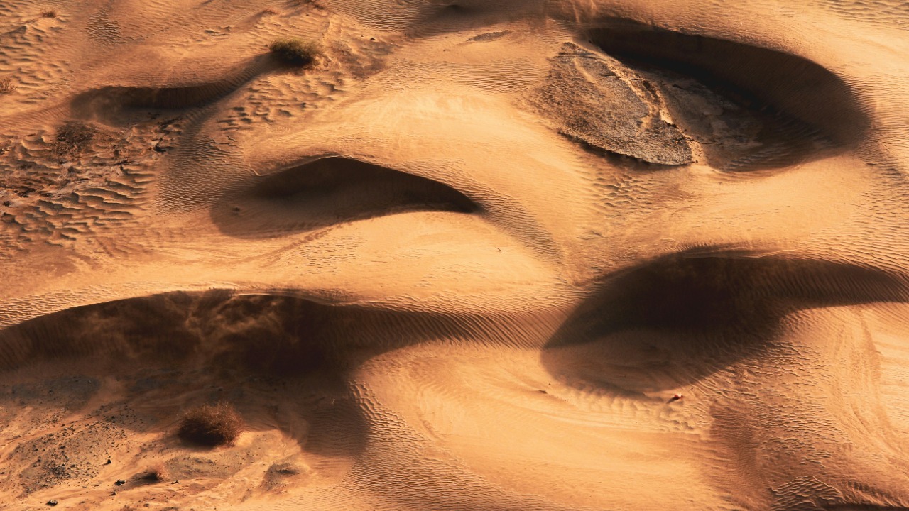 Common kitchen staple could survive on Mars