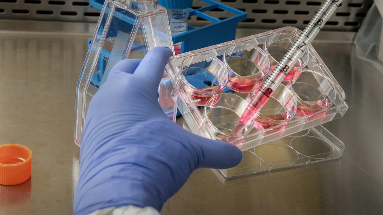 Scientists close to creating life from scratch