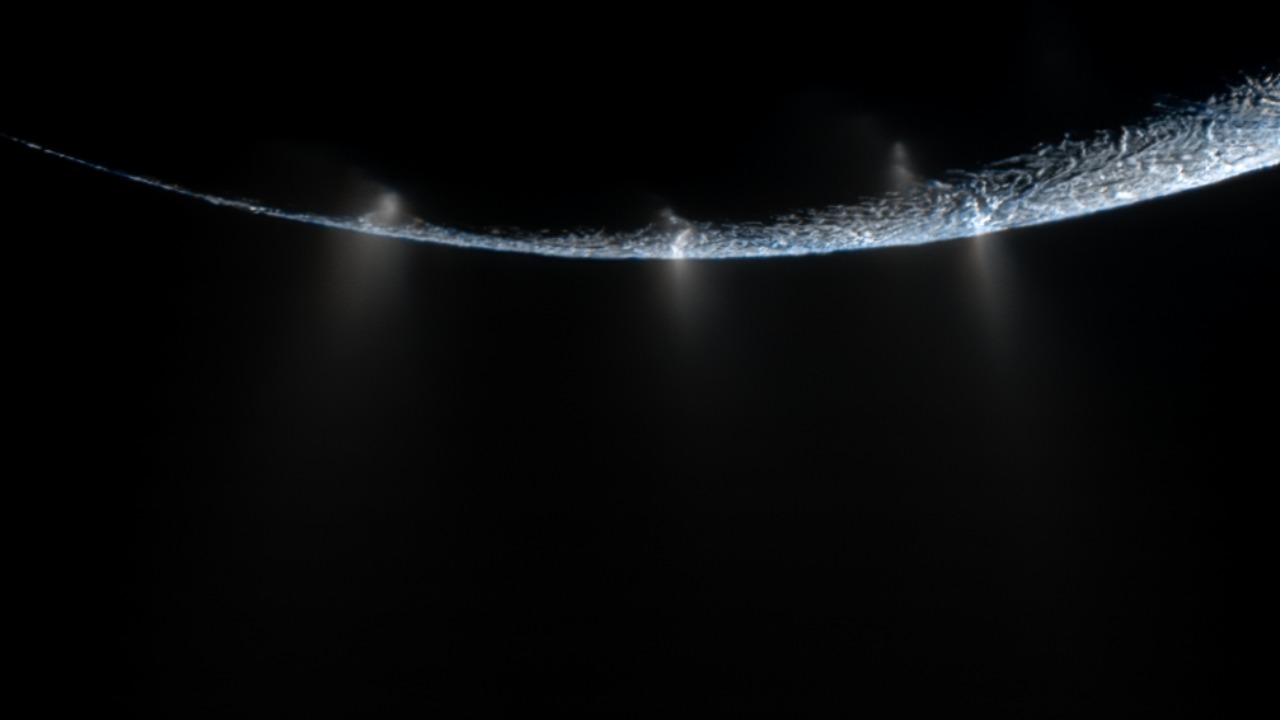 Image Credit: Kevin M. Gill - CC BY 2.0/Wiki Commons