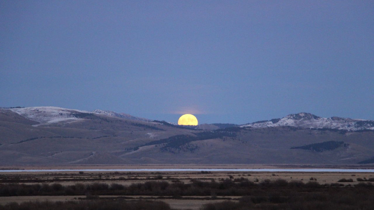 Image Credit: USFWS Mountain Prairie - Public domain/Wiki Commons