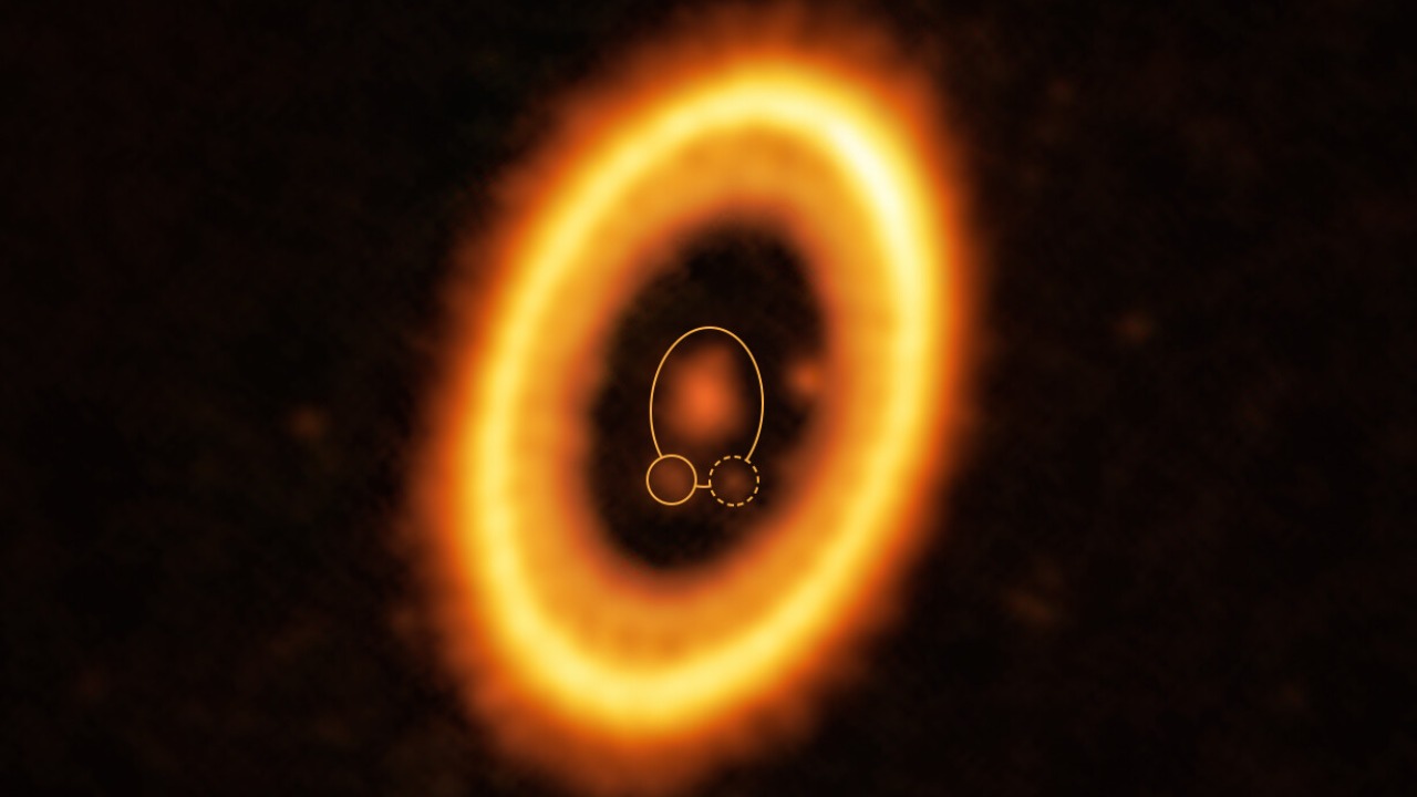 Image Credit: ALMA (ESO/NAOJ/NRAO) /Balsalobre-Ruza et al. - CC BY 4.0/Wiki Commons