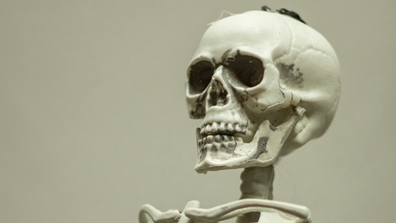 alex_quezada/Unsplash