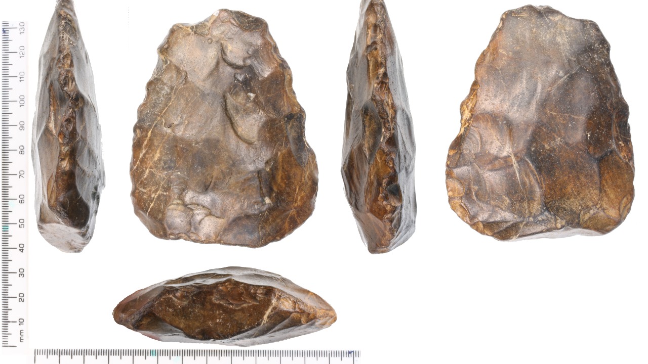 Image Credit: Kent County Council, Hannah Page, 2014-01-15 10:27:43 - CC BY-SA 4.0/Wiki Commons