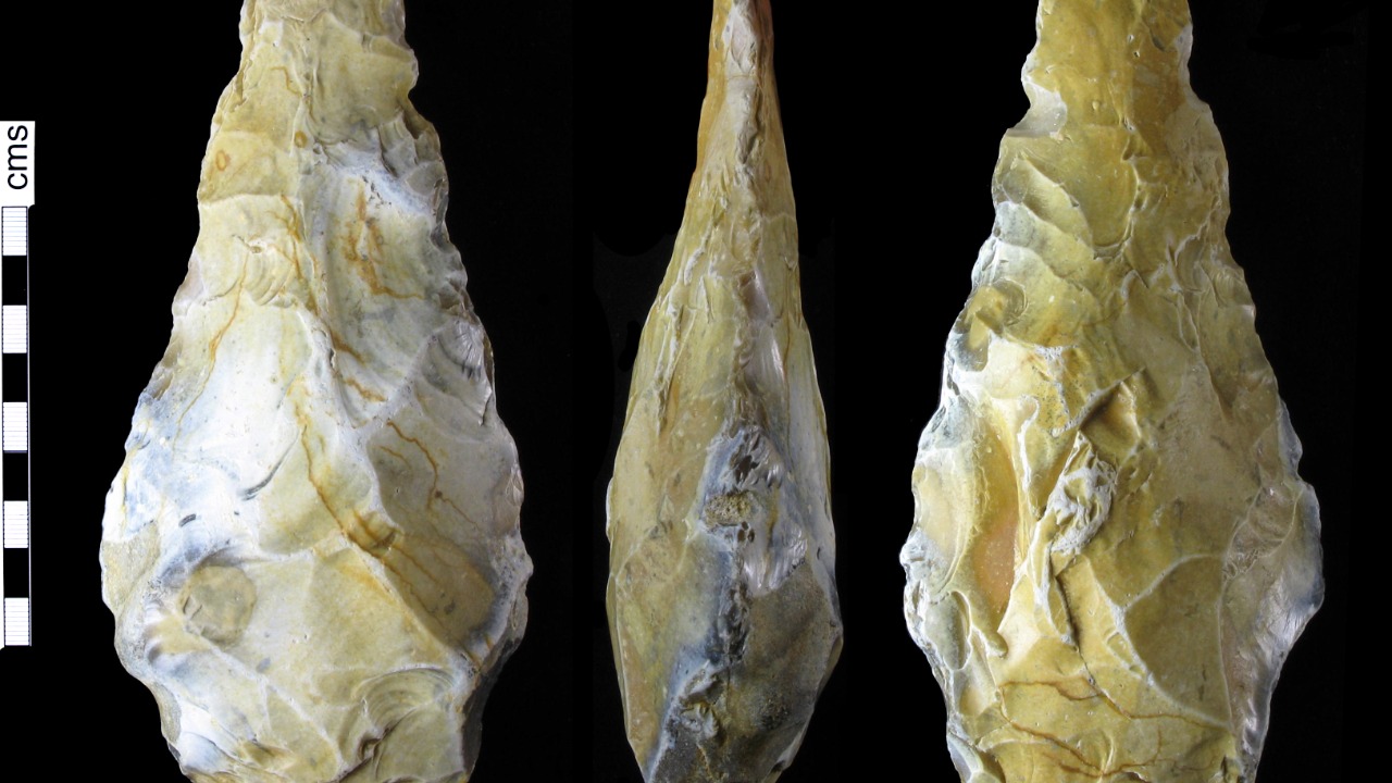 Image Credit: Winchester Museum Service, Robert Webley, 2009-09-21 19:44:36 - CC BY-SA 4.0/Wiki Commons