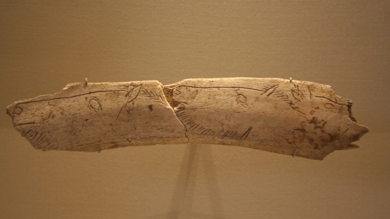 Image Credit: Discott - CC BY-SA 3.0/Wiki Commons