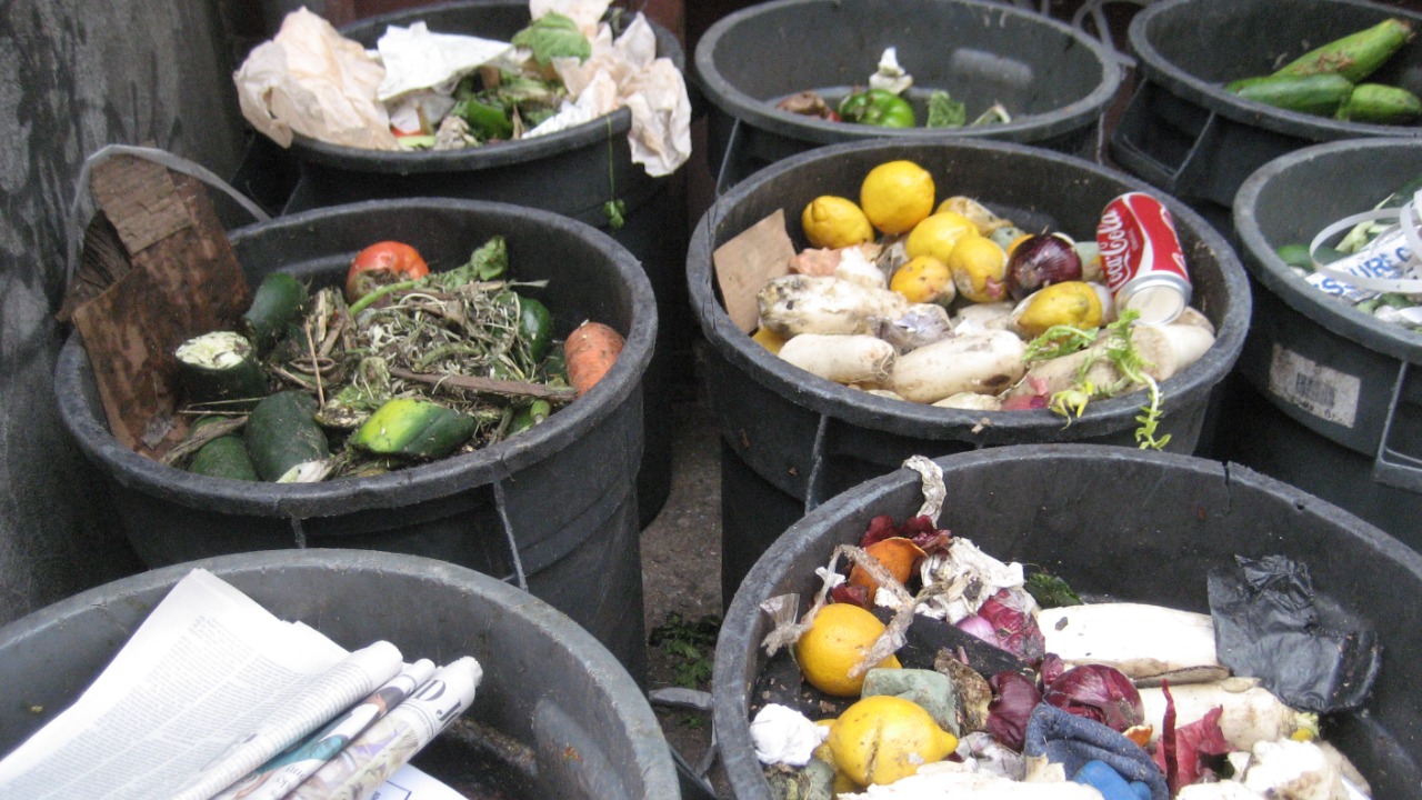 Image Credit: petrr - CC BY 2.0/Wiki Commons