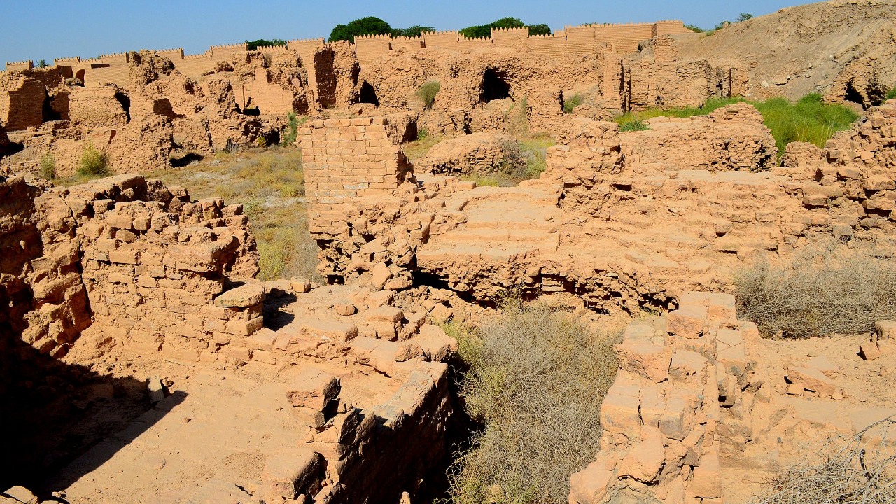 Image Credit: Osama Shukir Muhammed Amin FRCP(Glasg) - CC BY-SA 4.0/Wiki Commons